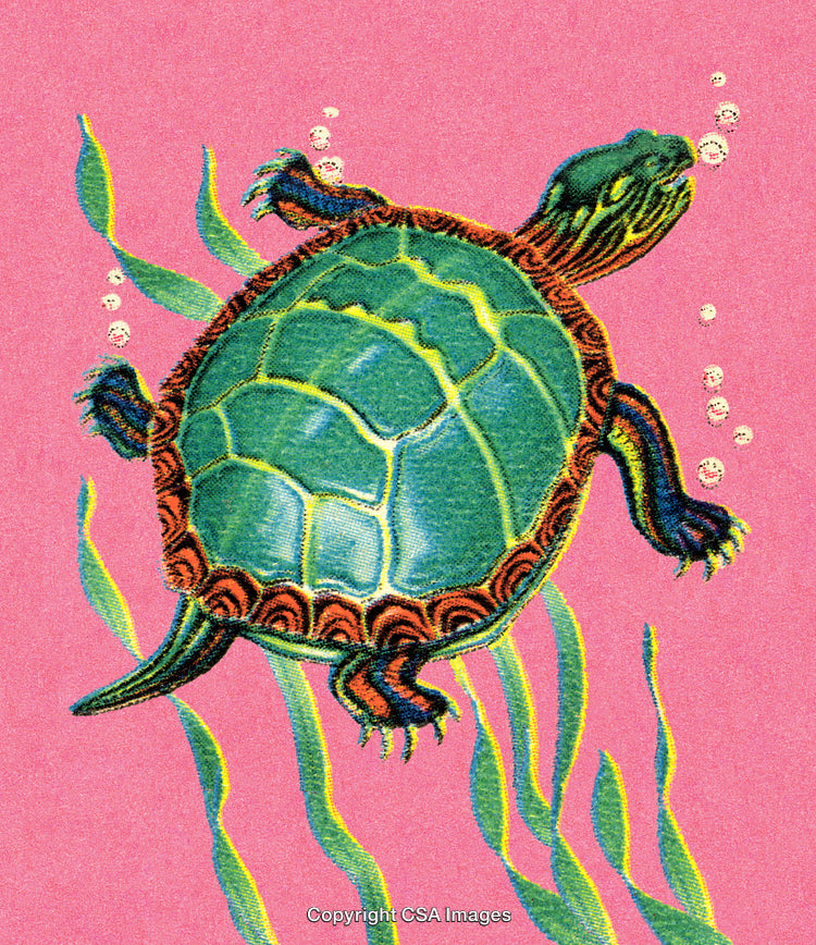 Illustration of a Vibrant Turtle Swimming Amid Aquatic Plants on a Pink Background