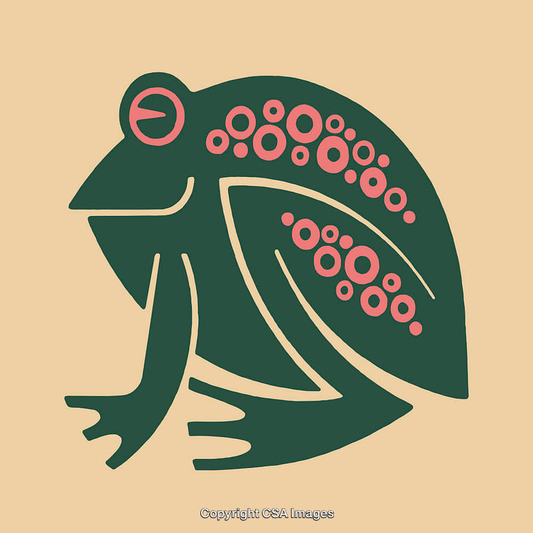 Abstract Frog Illustration with Bold Lines and Vibrant Colors on Neutral Background
