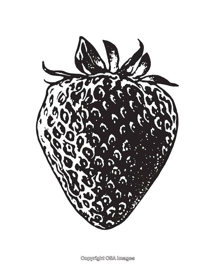Detailed Black and White Line Art Illustration of a Strawberry