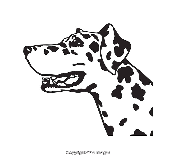 Black and White Line Art of Dalmatian Dog Side Profile Illustration