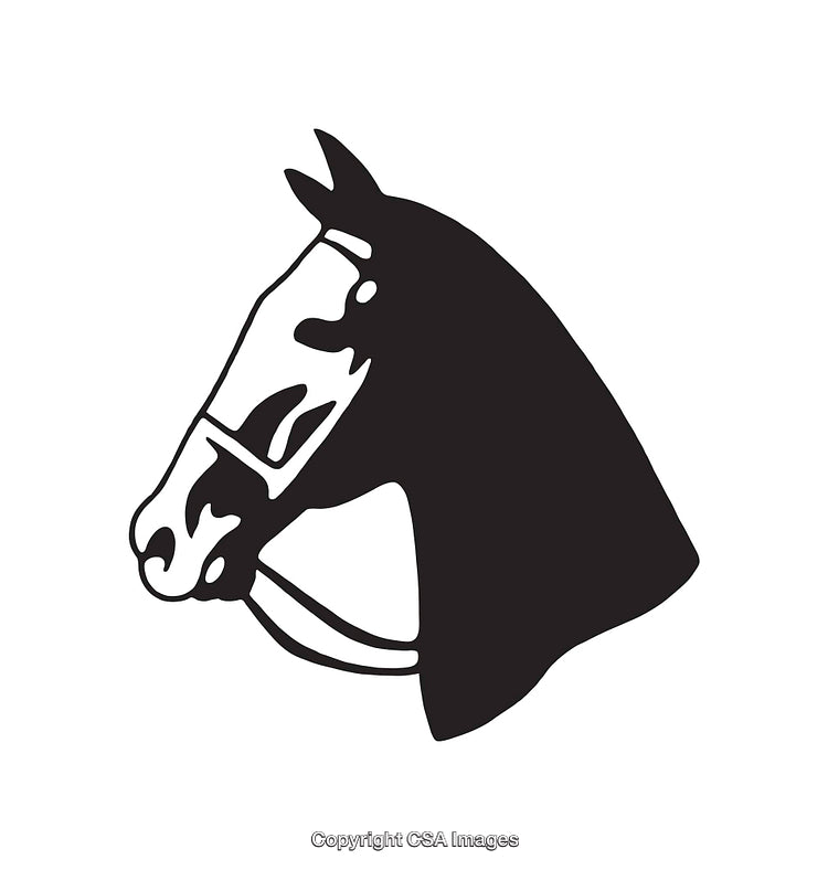 Elegant Black and White Illustration of a Horse Head Outline