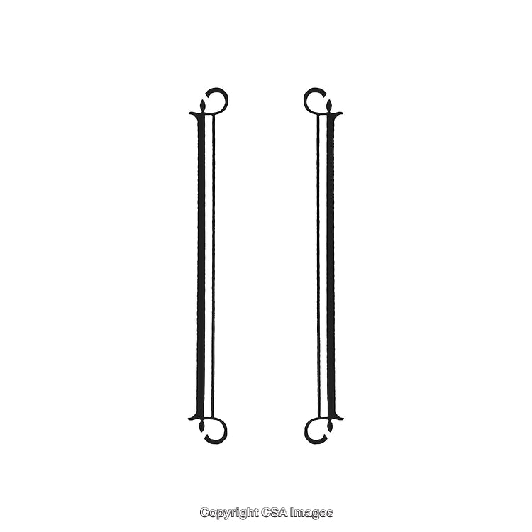 Elegant Black and White Vertical Ornamental Design