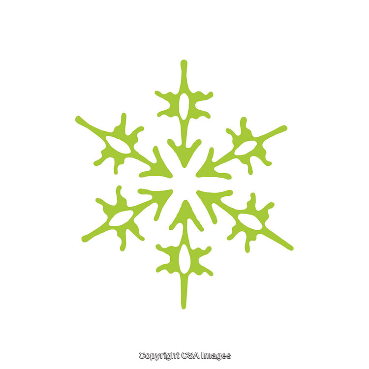 Green Decorative Snowflake Symbol With Abstract Design on White