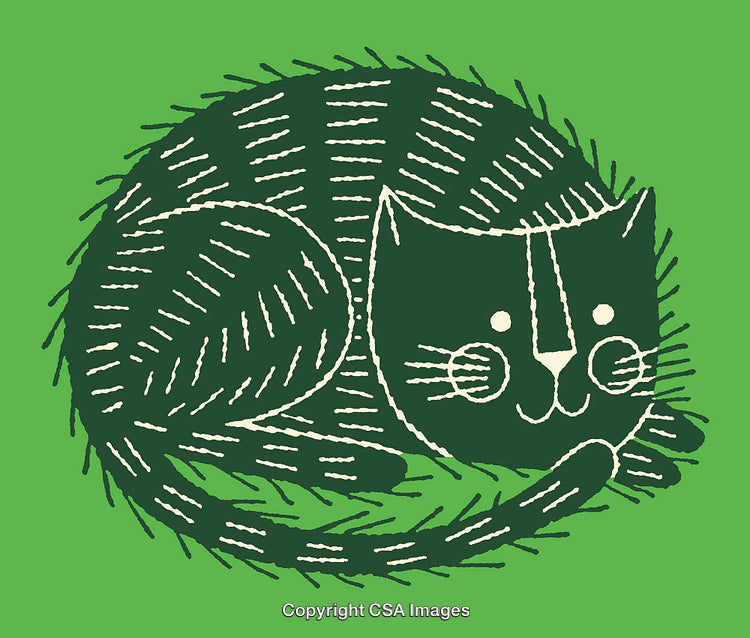 Playful Line Art Illustration of a Cat on Green Background