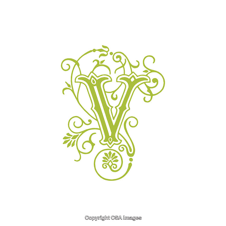 Elegant Decorative Illustration of the Letter V With Ornamental Accents