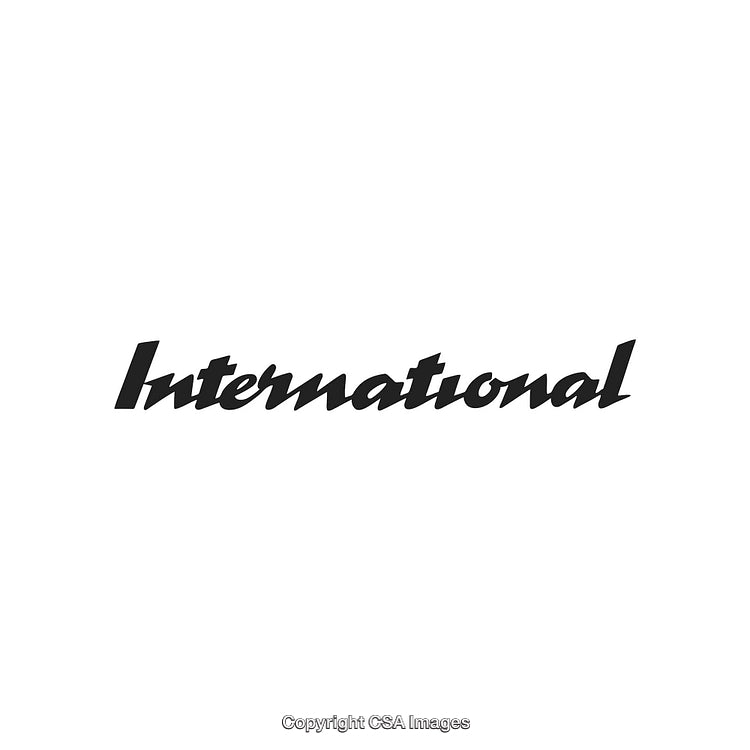 Stylized 'International' Text Graphic on a White Background