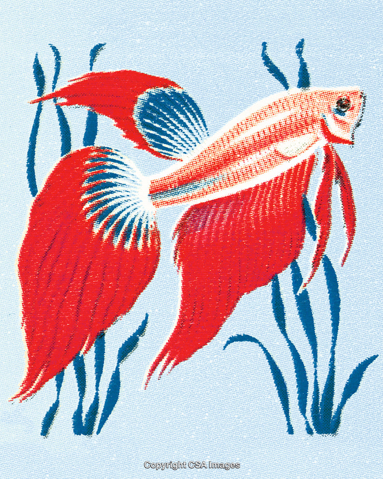 Stylized Illustration of a Betta Fish Among Aquatic Plants on Light Background