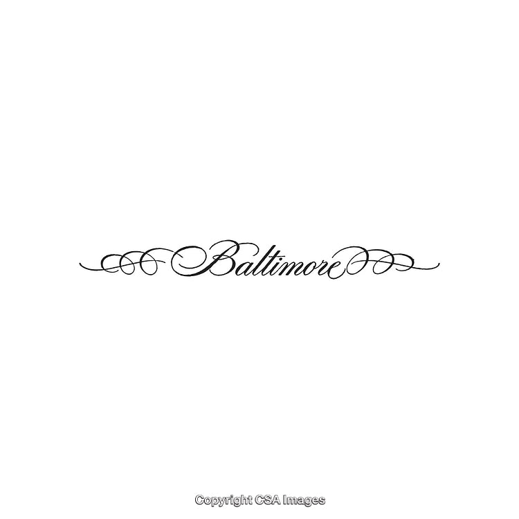 Elegant Calligraphy Featuring the Word Baltimore with Flourishes and Decorations