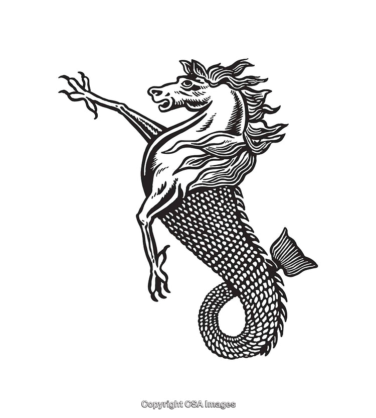 Intricate Black and White Illustration of a Mythical Seahorse