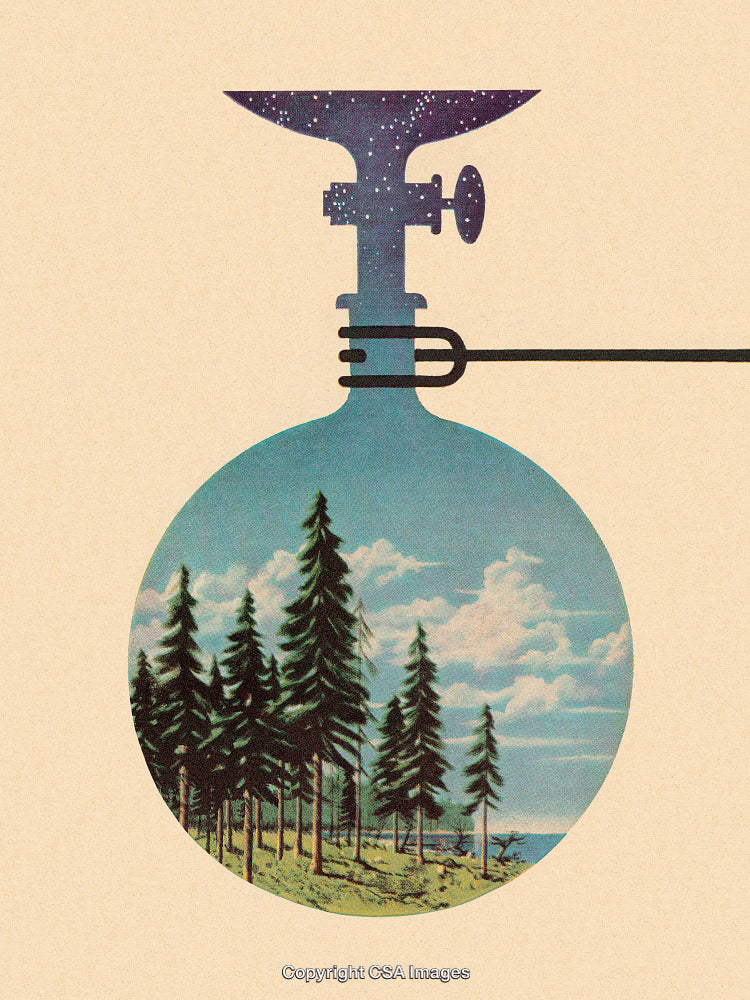 Surreal Landscape with Trees Inside a Chemistry Flask Against Starry Background