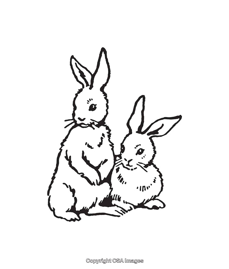 Charming Black and White Illustration of Two Bunny Rabbits Together