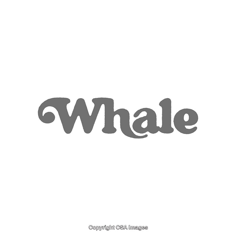 Creative Gray Whale Inscription Illustrating Unique Typography Design With Curved Accents