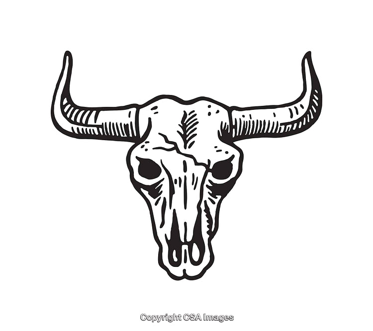 Detailed Black and White Illustration of a Bull Skull With Horns