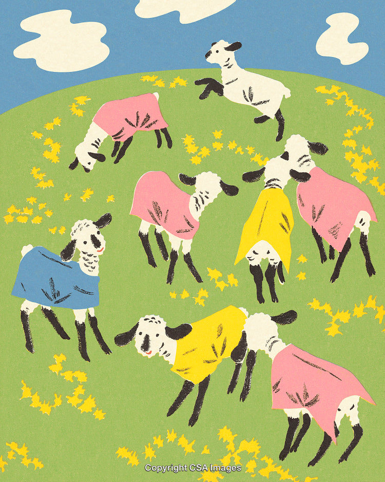 Illustration of Playful Lambs in Colorful Clothing on a Green Meadow