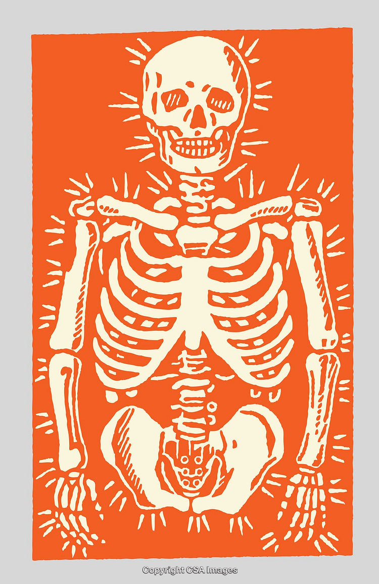 Colorful Skeleton Illustration on Vibrant Background with Bold Lines