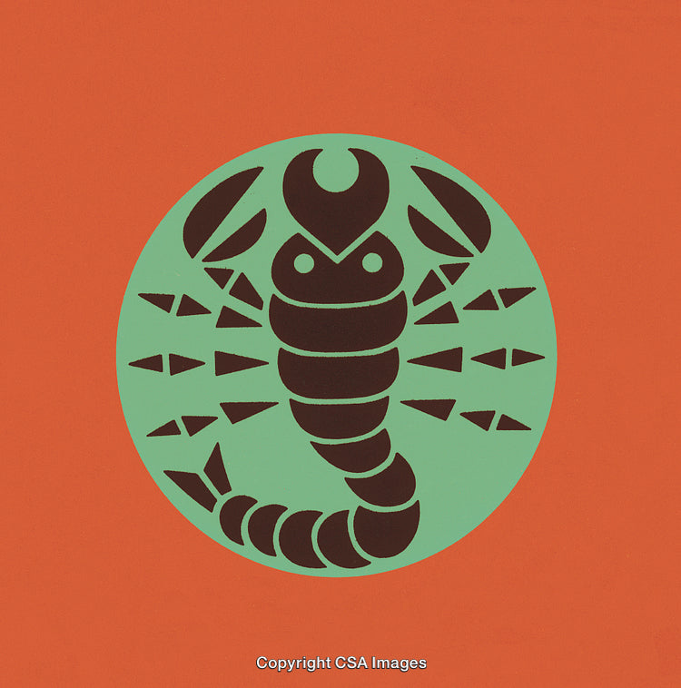 Graphic Illustration of a Stylized Scorpion in Bold Colors and Abstract Design