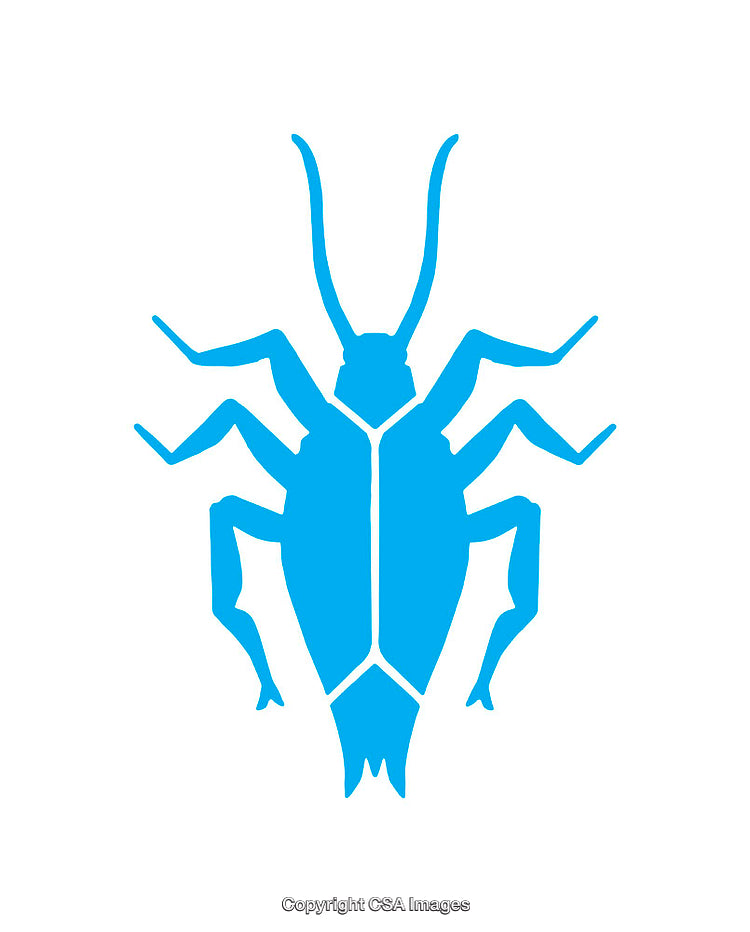 Blue Silhouette of an Insect in a Simple Graphic Design