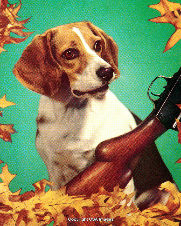 Beagle Dog Portrait With Autumn Leaves and Rifle in Retro Style