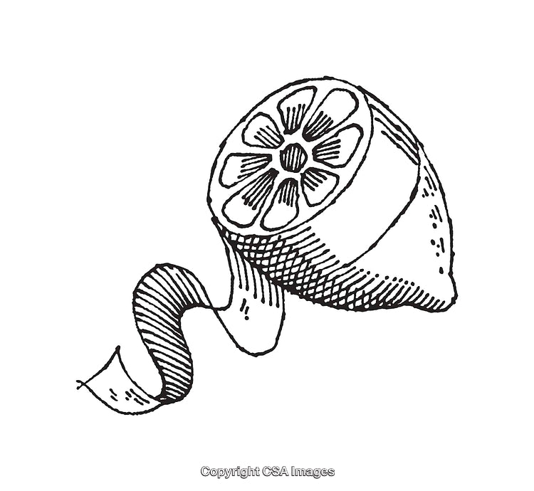 Detailed Hand-Drawn Line Art of a Citrus Fruit with Peel
