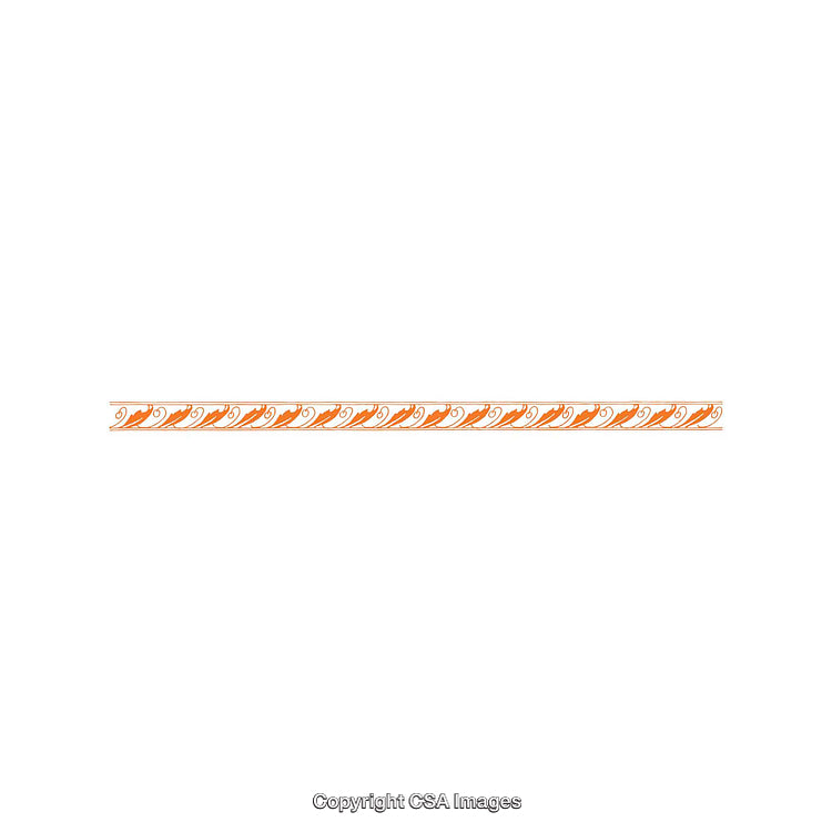 Seamless Orange Wave Pattern Border on Clean White Background