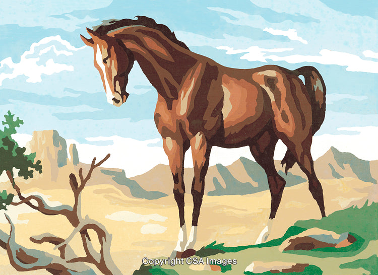 Paint By Numbers Style Illustration of a Horse in a Desert Landscape