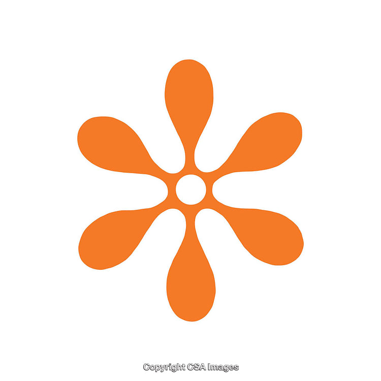 Orange Floral Dingbat Shape with Petal-Like Symbols on White Background
