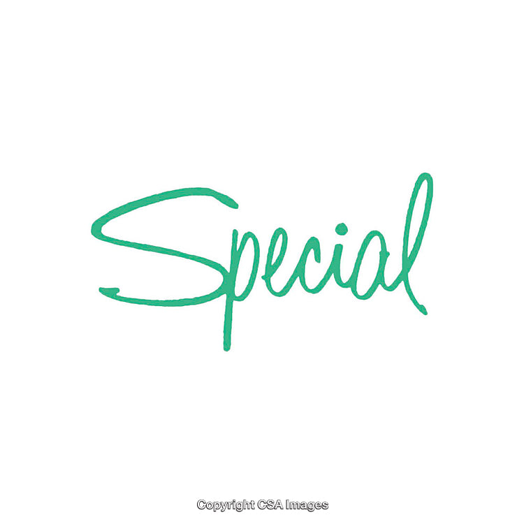 Handwritten Green Text Depicting the Word 'Special' on White Background