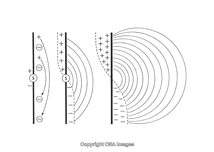 Black and White Scientific Diagram Illustrating Wave Transmissions and Polarization Patterns