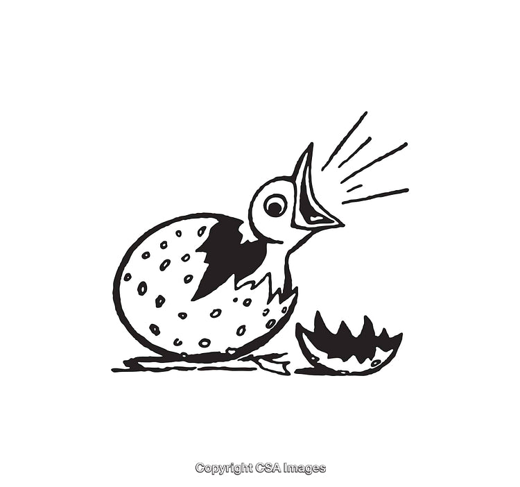 Black and White Artwork of a Hatching Bird Illustration
