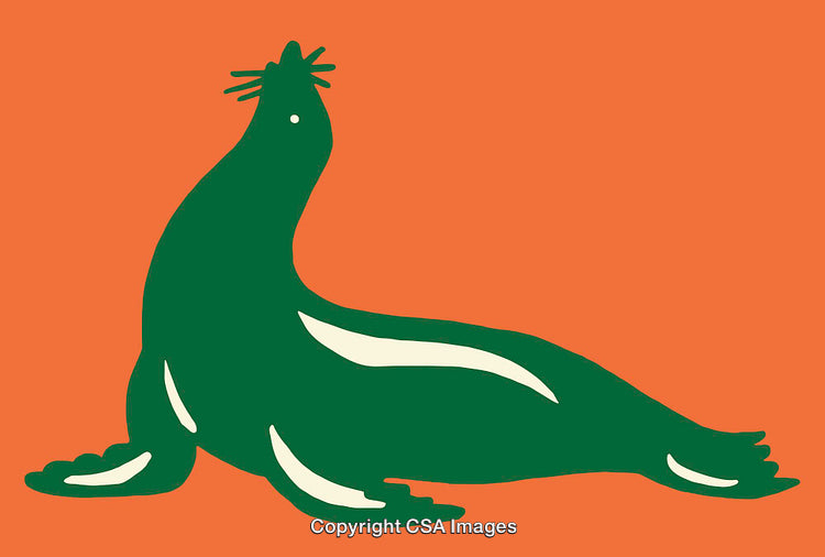 Colorful Graphic Illustration of a Sea Lion on a Bold Orange Background
