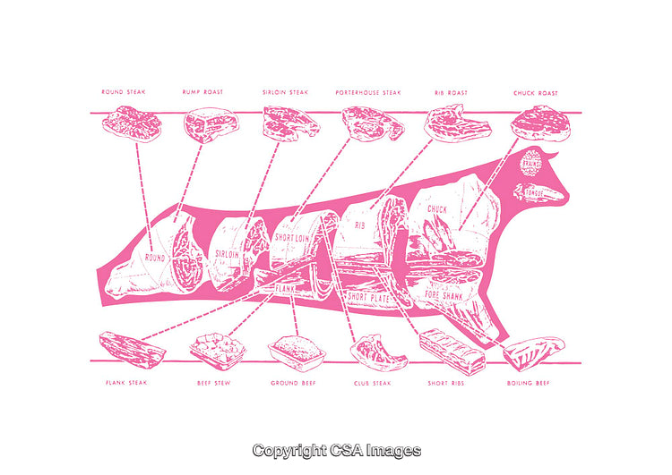 Diagram of Beef Cuts with Labels and Sections Highlighted in Pink