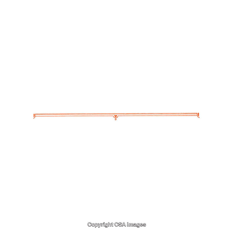 Elegant Minimalist Decorative Line Frame Style Design