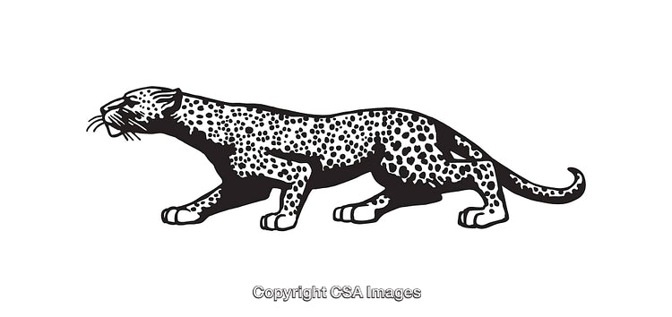 Black and White Line Art Illustration of a Leopard in Action Pose