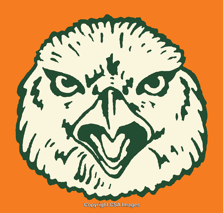 Vibrant Line Art Illustration of a Bird's Head on Orange Background