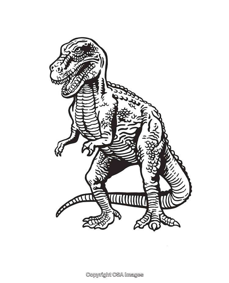 Detailed Black and White Dinosaur Line Art Illustration