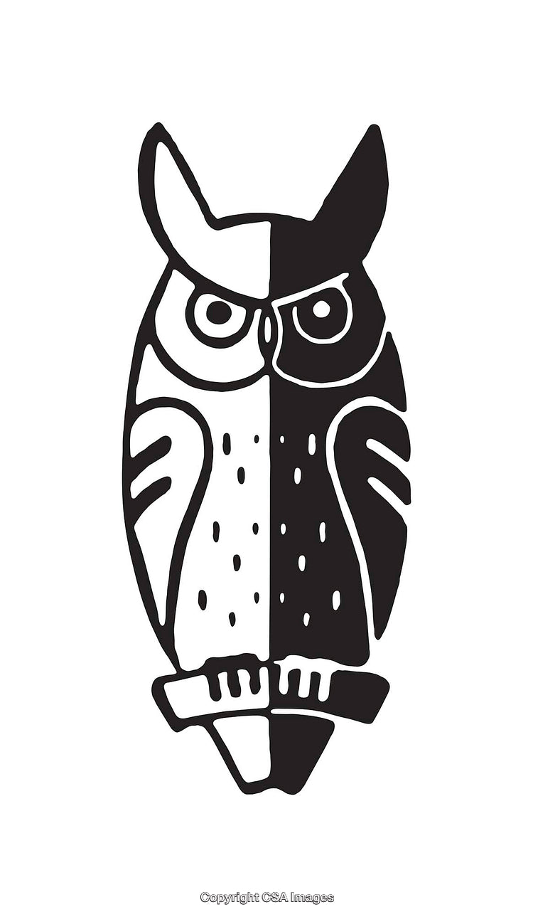 Black and White Line Art Illustration of an Owl in Abstract Design