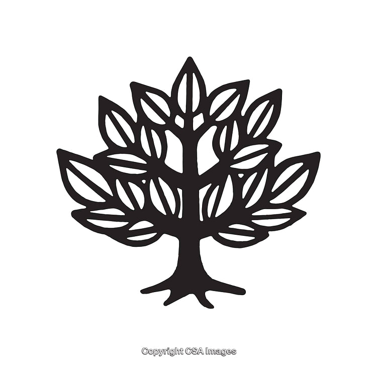 Black and White Line Art Illustration of a Stylized Tree