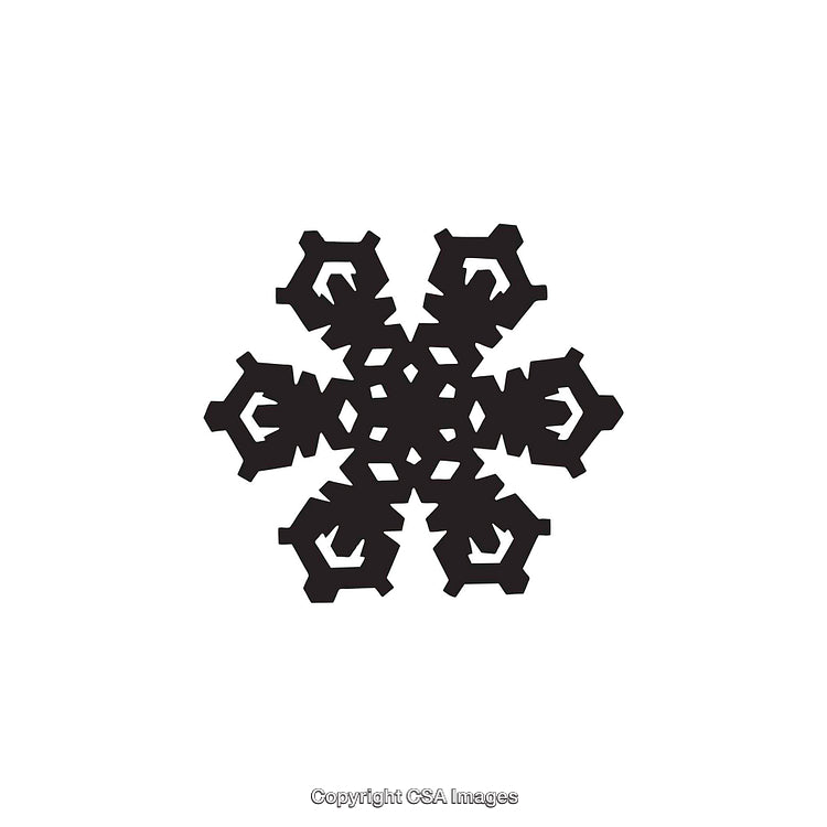 Black And White Abstract Snowflake Dingbat Design on White Background