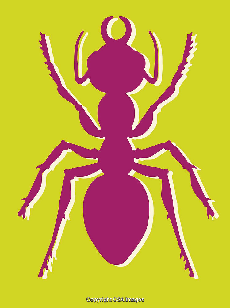 Colorful Ant Silhouette Illustration in Vibrant Modern Art Style
