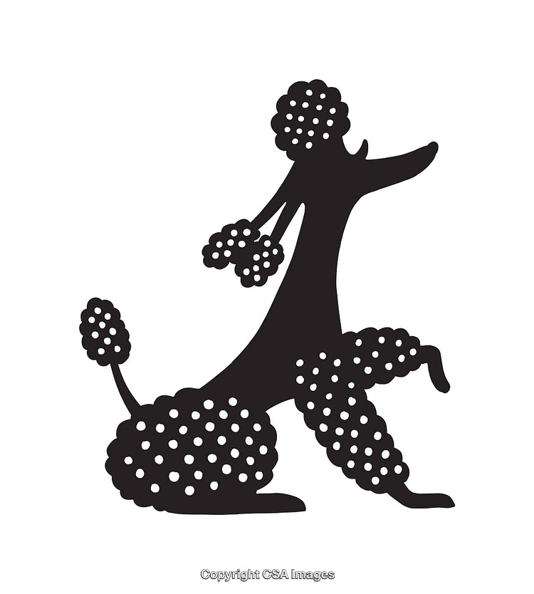 Black and White Silhouette of a Stylish Poodle Illustration
