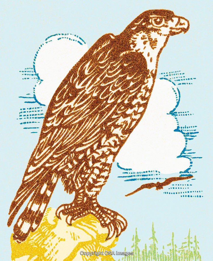 Illustration of a Hawk Perched on a Rock with Sky and Clouds