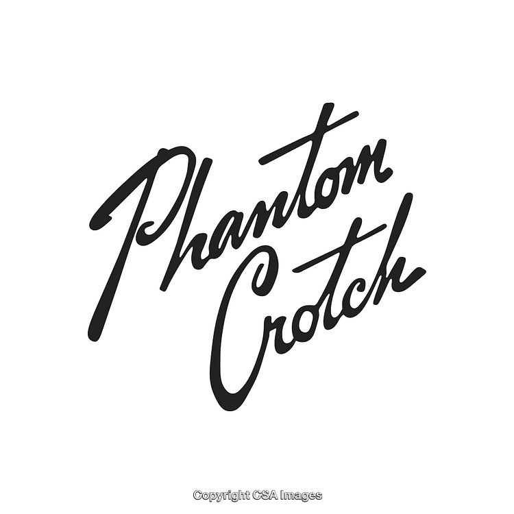 Elegant Calligraphy Text Artwork with Artistic Flair on White Background