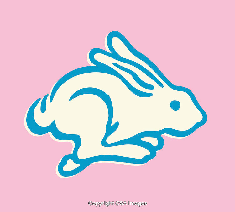 Colorful Line Art Illustration of a Rabbit on a Pastel Background