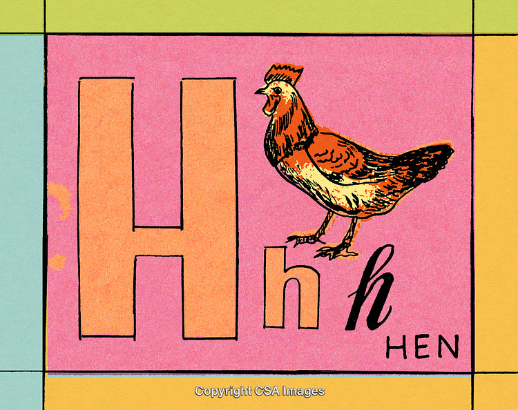Alphabet Illustration Featuring the Letter H and a Hen Drawing