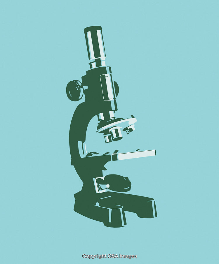 Microscope