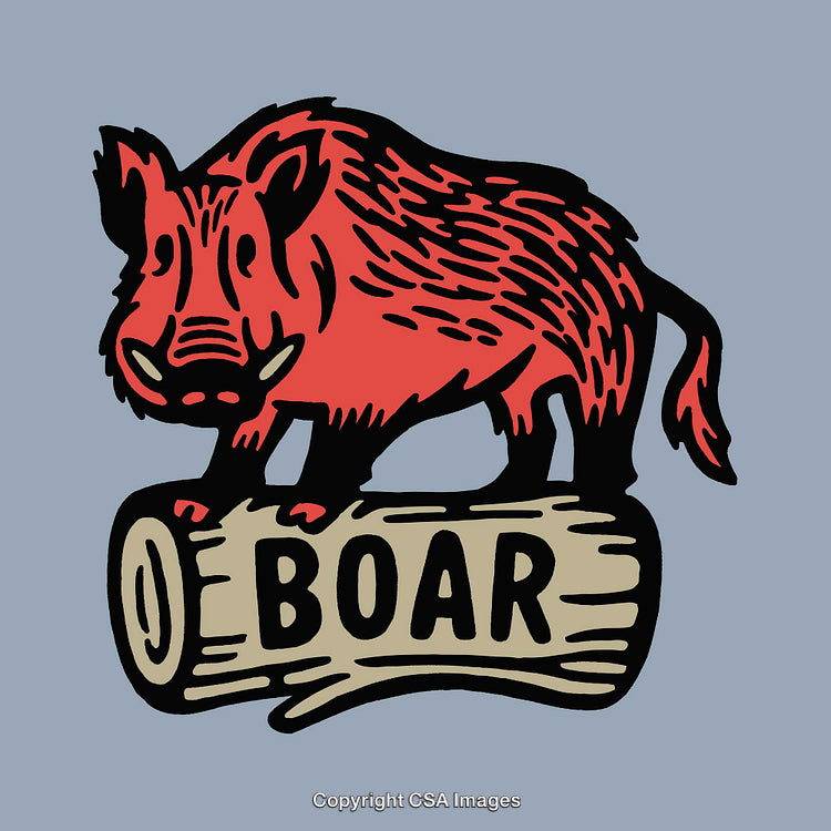 Colorful Line Art Illustration of a Boar Standing on a Wooden Log