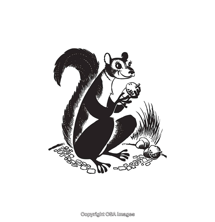 Detailed Black and White Illustration of a Squirrel Holding an Acorn