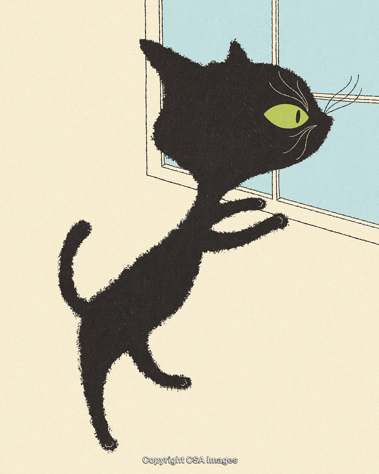 Illustration of a Black Cat Looking Out of a Window