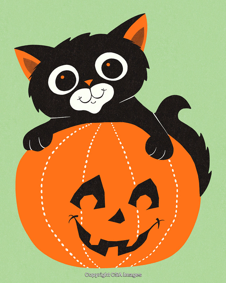 Cute Black Cat Sitting on Pumpkin for Halloween Celebration
