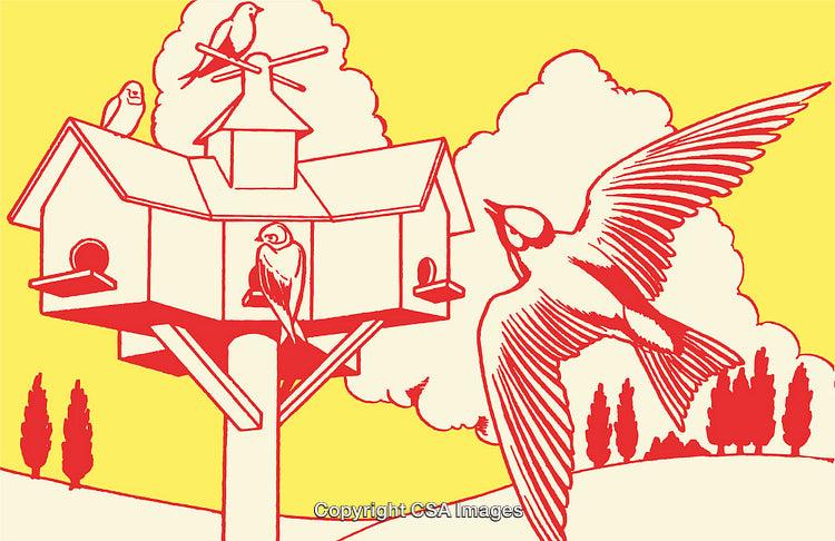 Charming Colorful Line Art of Birdhouse and Birds in Nature